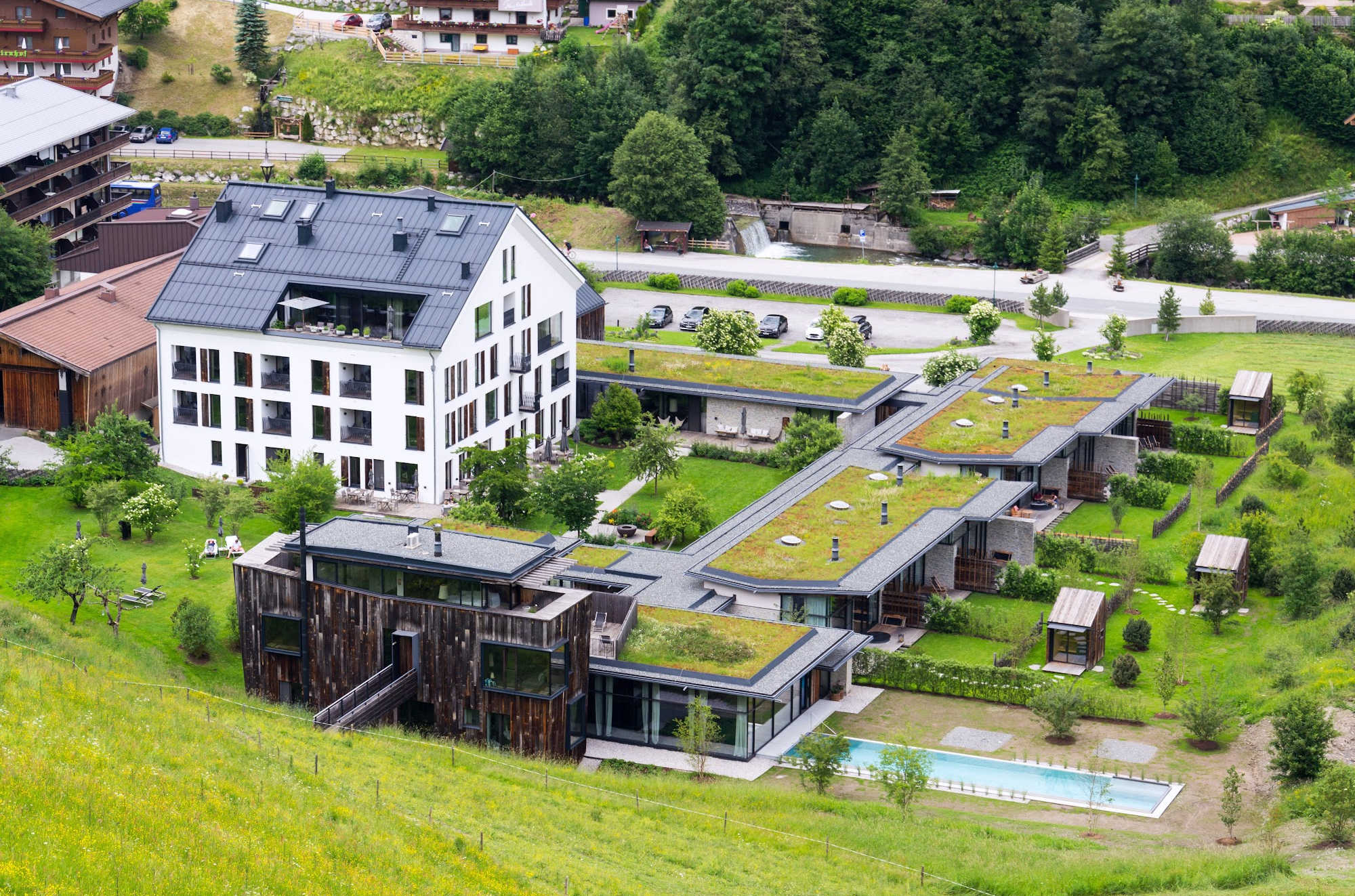 Green Roofing: Sustainable Choices for the Nashville Homeowner